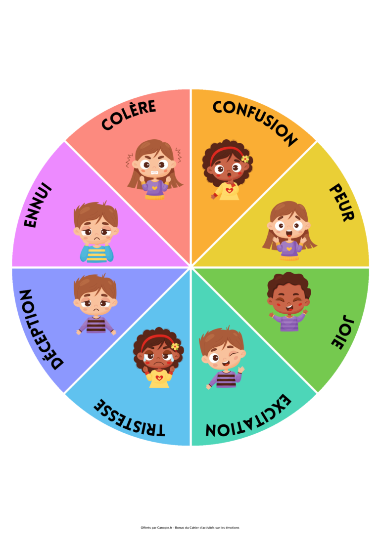 Roue des émotions